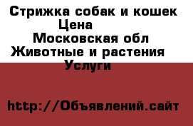 Стрижка собак и кошек  › Цена ­ 1 000 - Московская обл. Животные и растения » Услуги   